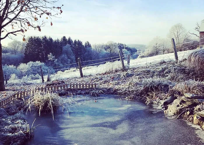 La Vieille Forge Bed & Breakfast 3*